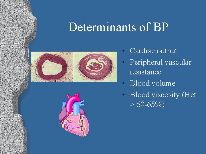 Determinants of BP • Cardiac output • Peripheral vascular resistance • Blood volume •