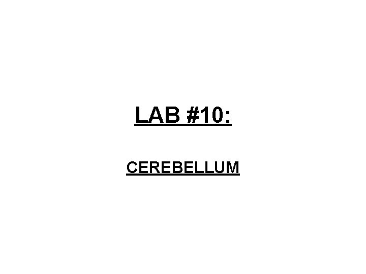 LAB #10: CEREBELLUM 