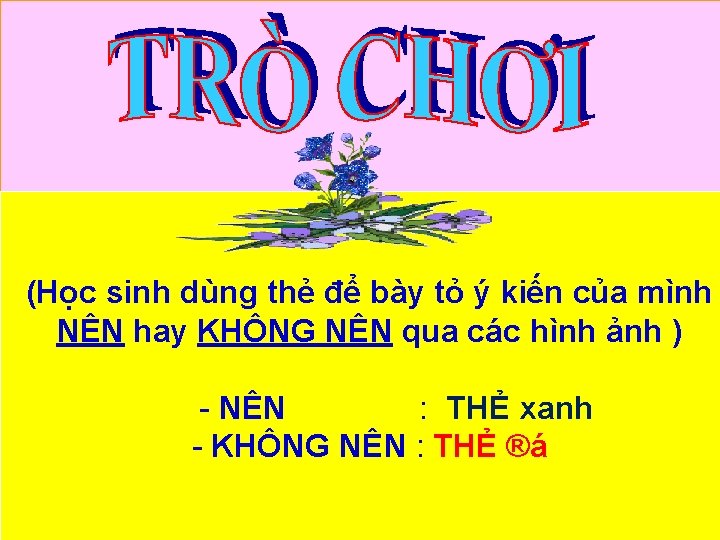 (Học sinh dùng thẻ để bày tỏ ý kiến của mình NÊN hay KHÔNG