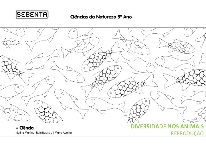 DIVERSIDADE NOS ANIMAIS REPRODUÇÃO 