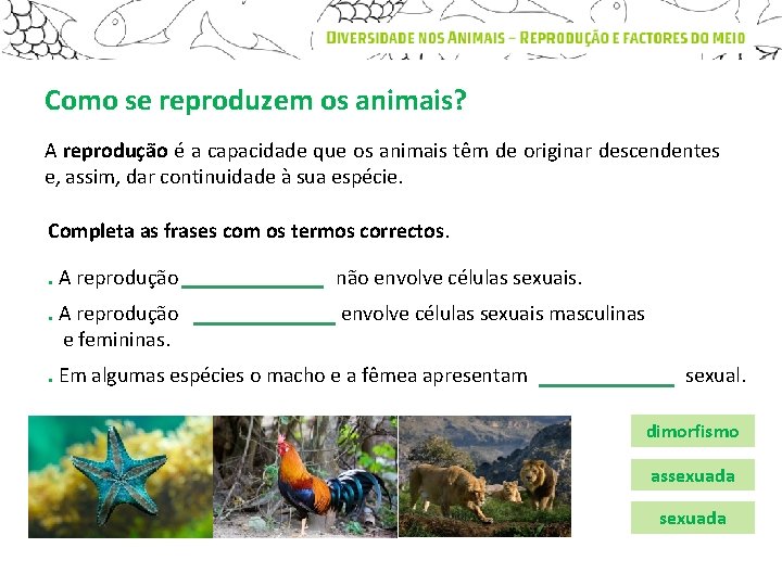 Como se reproduzem os animais? A reprodução é a capacidade que os animais têm