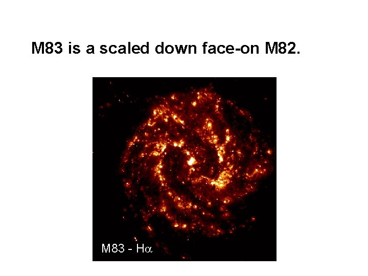 M 83 is a scaled down face-on M 82. M 83 - H 
