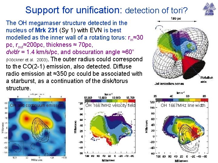 Support for unification: detection of tori? The OH megamaser structure detected in the nucleus