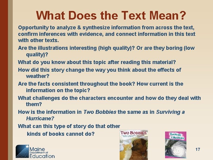 What Does the Text Mean? Opportunity to analyze & synthesize information from across the