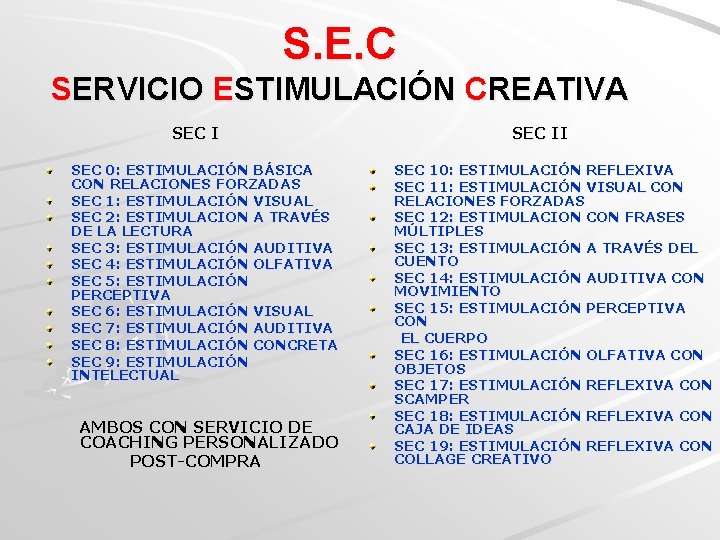 S. E. C SERVICIO ESTIMULACIÓN CREATIVA SEC I SEC 0: ESTIMULACIÓN BÁSICA CON RELACIONES