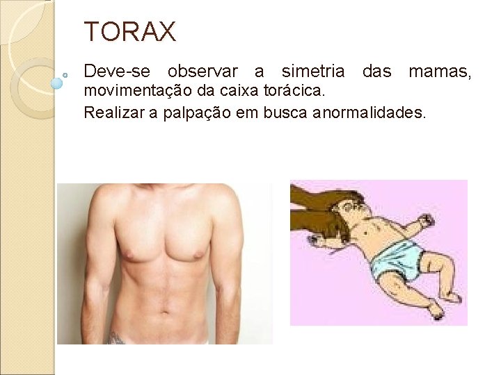 TORAX Deve-se observar a simetria das mamas, movimentação da caixa torácica. Realizar a palpação