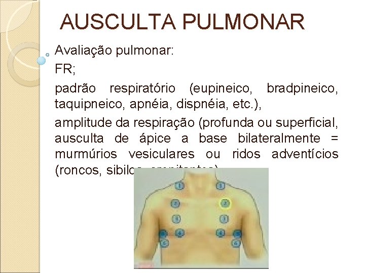 AUSCULTA PULMONAR Avaliação pulmonar: FR; padrão respiratório (eupineico, bradpineico, taquipneico, apnéia, dispnéia, etc. ),