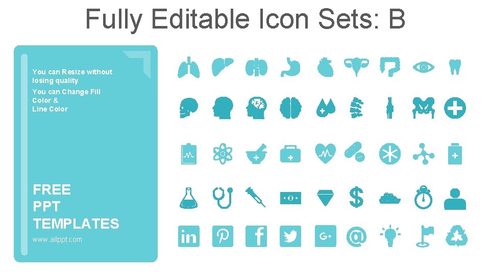 Fully Editable Icon Sets: B You can Resize without losing quality You can Change