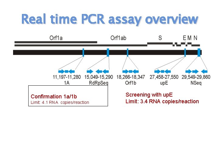 Real time PCR assay overview Confirmation 1 a/1 b Limit: 4. 1 RNA copies/reaction