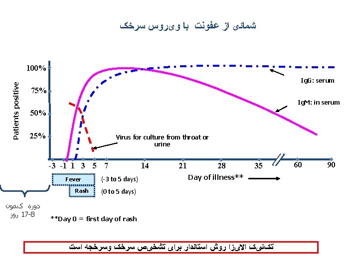  ﺷﻤﺎﺋی ﺍﺯ ﻋﻔﻮﻧﺖ ﺑﺎ ﻭیﺮﻭﺱ ﺳﺮﺧک Patients positive 100% Ig. G: serum 75%