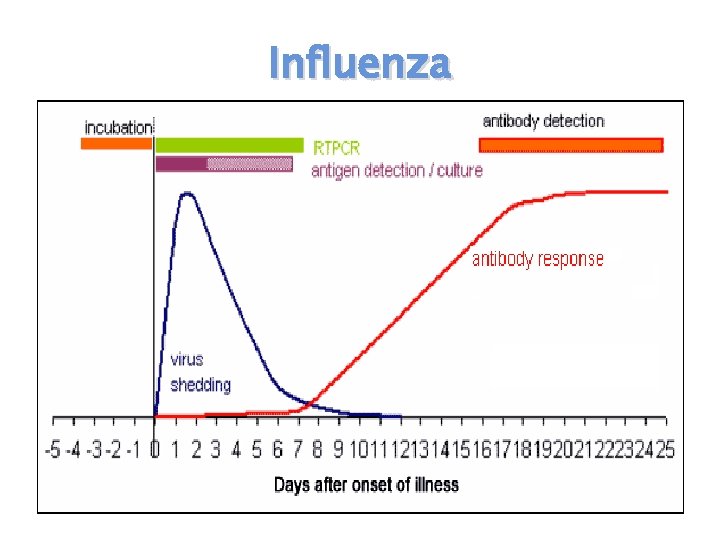 Influenza 