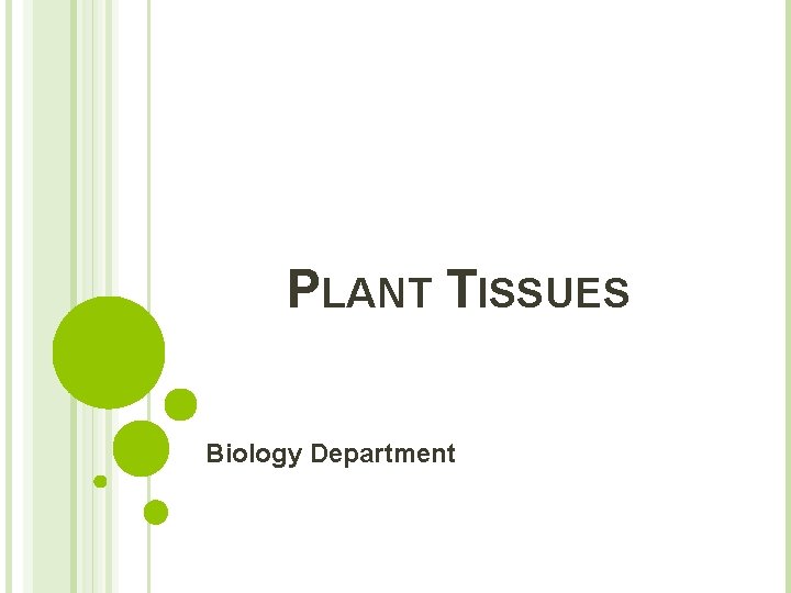 PLANT TISSUES Biology Department 