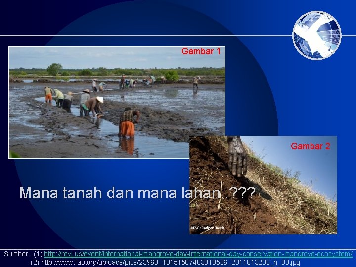 Gambar 1 Gambar 2 Mana tanah dan mana lahan. . ? ? ? Sumber Gambar 1 Gambar 2 Mana tanah dan mana lahan. . ? ? ? Sumber