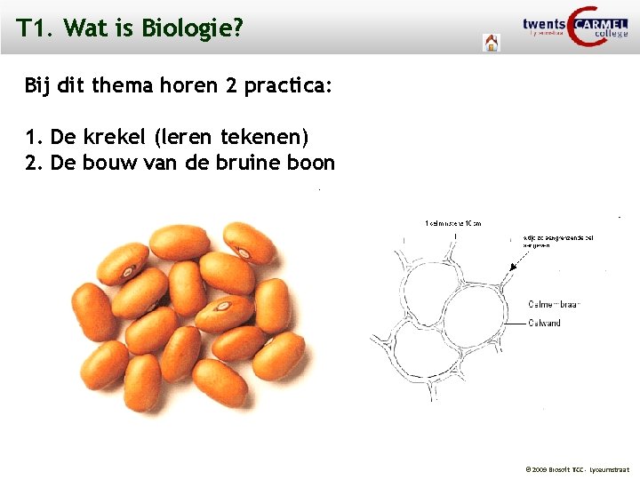 T 1. Wat is Biologie? Bij dit thema horen 2 practica: 1. De krekel