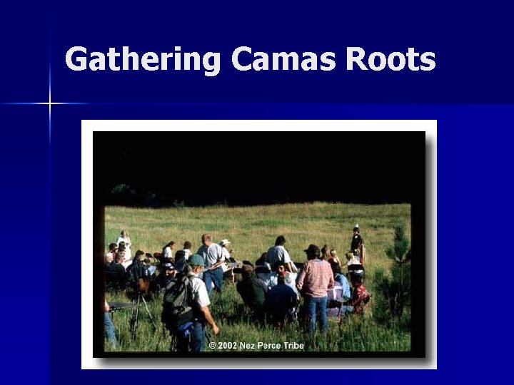 Gathering Camas Roots 