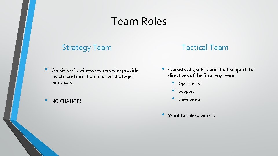 Team Roles Strategy Team • • Consists of business owners who provide insight and Team Roles Strategy Team • • Consists of business owners who provide insight and