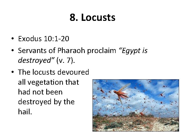 8. Locusts • Exodus 10: 1 -20 • Servants of Pharaoh proclaim “Egypt is