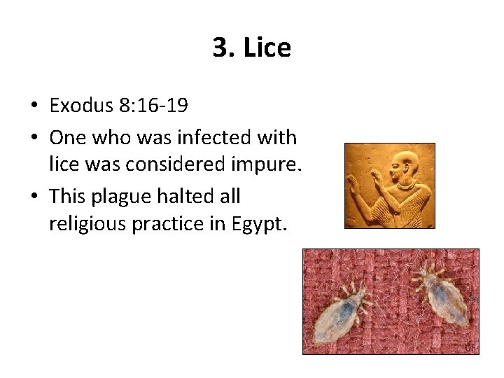3. Lice • Exodus 8: 16 -19 • One who was infected with lice