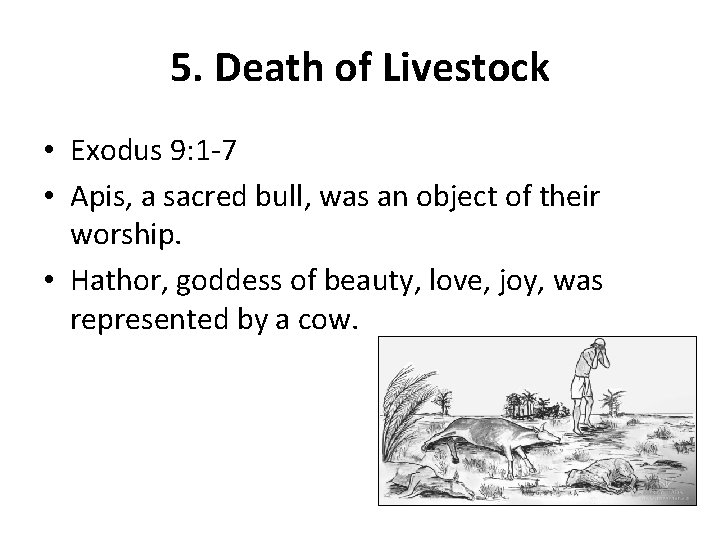 5. Death of Livestock • Exodus 9: 1 -7 • Apis, a sacred bull,