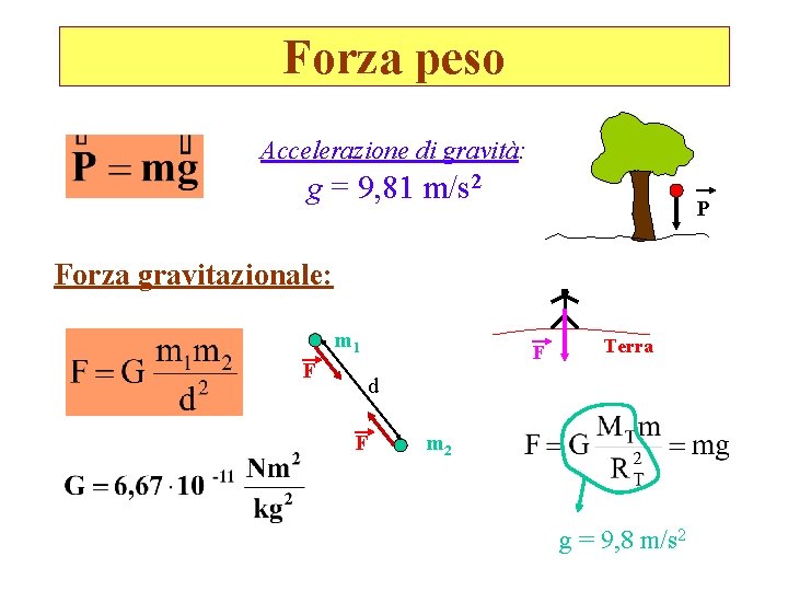 Forza peso Accelerazione di gravità: g = 9, 81 m/s 2 P Forza gravitazionale: