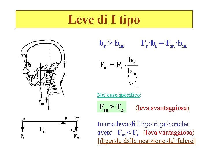 Leve di I tipo br > b m Fr·br = Fm·bm >1 Nel caso