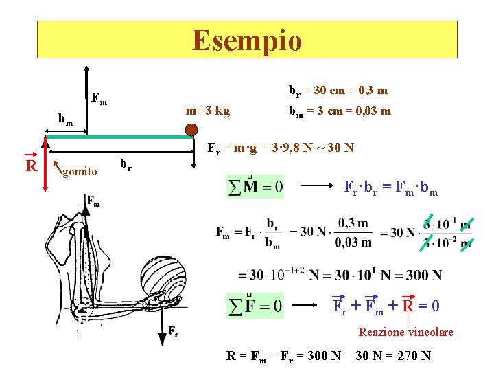 Esempio br = 30 cm = 0, 3 m Fm m=3 kg bm R