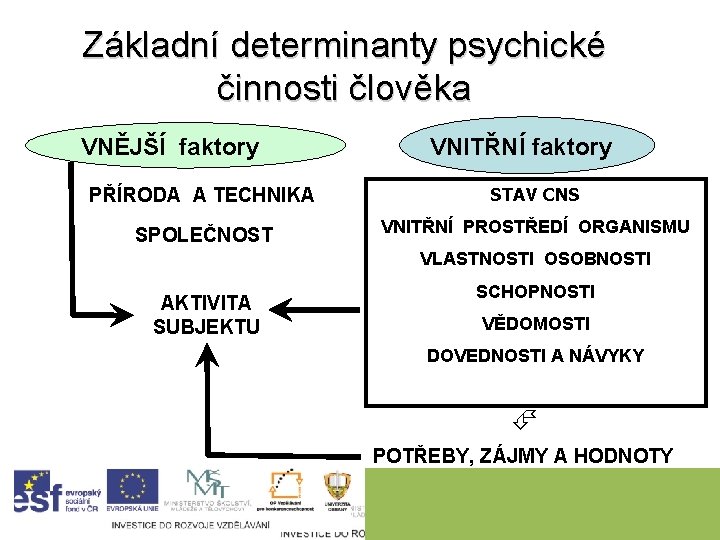 Základní determinanty psychické činnosti člověka VNĚJŠÍ faktory VNITŘNÍ faktory PŘÍRODA A TECHNIKA STAV CNS