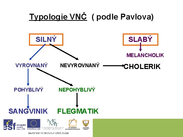 Typologie VNČ ( podle Pavlova) SILNÝ SLABÝ MELANCHOLIK VYROVNANÝ NEVYROVNANÝ POHYBLIVÝ NEPOHYBLIVÝ SANGVINIK FLEGMATIK