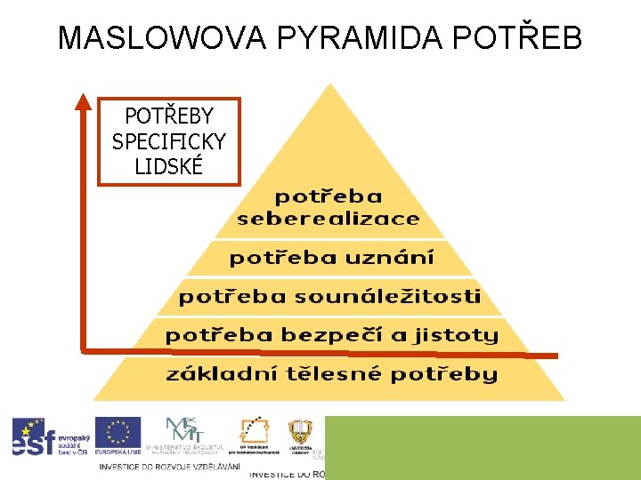 MASLOWOVA PYRAMIDA POTŘEBY SPECIFICKY LIDSKÉ 