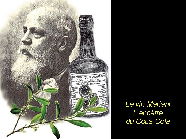 Le vin Mariani L’ancêtre du Coca-Cola 