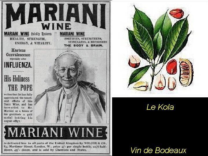 Le Kola Vin de Bodeaux 