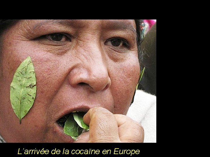 L’arrivée de la cocaïne en Europe 