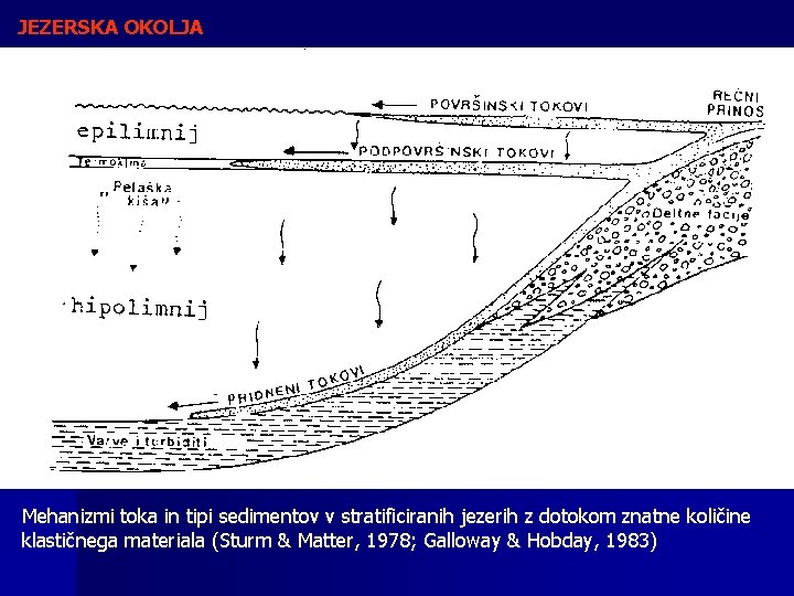 JEZERSKA OKOLJA Mehanizmi toka in tipi sedimentov v stratificiranih jezerih z dotokom znatne količine