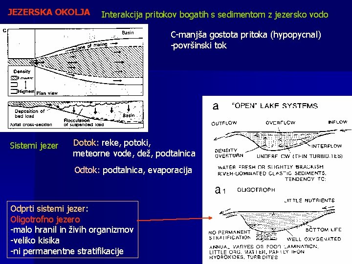 JEZERSKA OKOLJA Interakcija pritokov bogatih s sedimentom z jezersko vodo C-manjša gostota pritoka (hypopycnal)