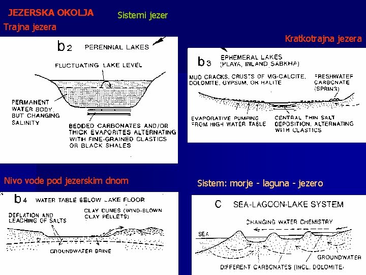 JEZERSKA OKOLJA Sistemi jezer Trajna jezera Kratkotrajna jezera Nivo vode pod jezerskim dnom Sistem: