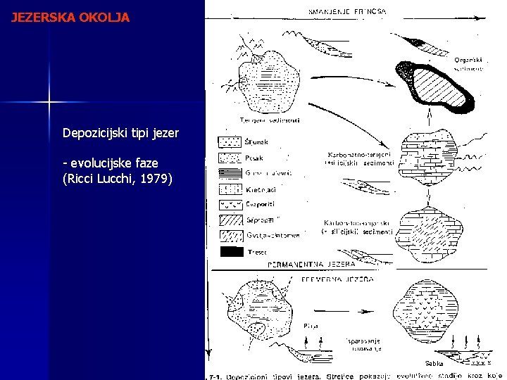 JEZERSKA OKOLJA Depozicijski tipi jezer - evolucijske faze (Ricci Lucchi, 1979) 