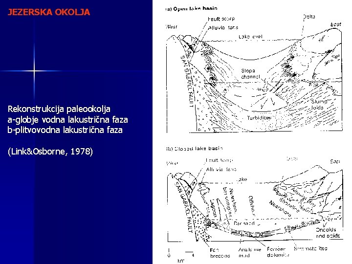 JEZERSKA OKOLJA Rekonstrukcija paleookolja a-globje vodna lakustrična faza b-plitvovodna lakustrična faza (Link&Osborne, 1978) 
