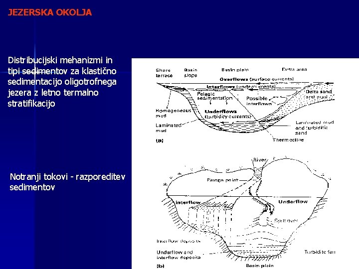 JEZERSKA OKOLJA Distribucijski mehanizmi in tipi sedimentov za klastično sedimentacijo oligotrofnega jezera z letno