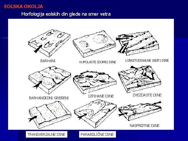 EOLSKA OKOLJA Morfologija eolskih din glede na smer vetra BARHANI BARHANOIDNI GREBENI KUPOLASTE (DOME)