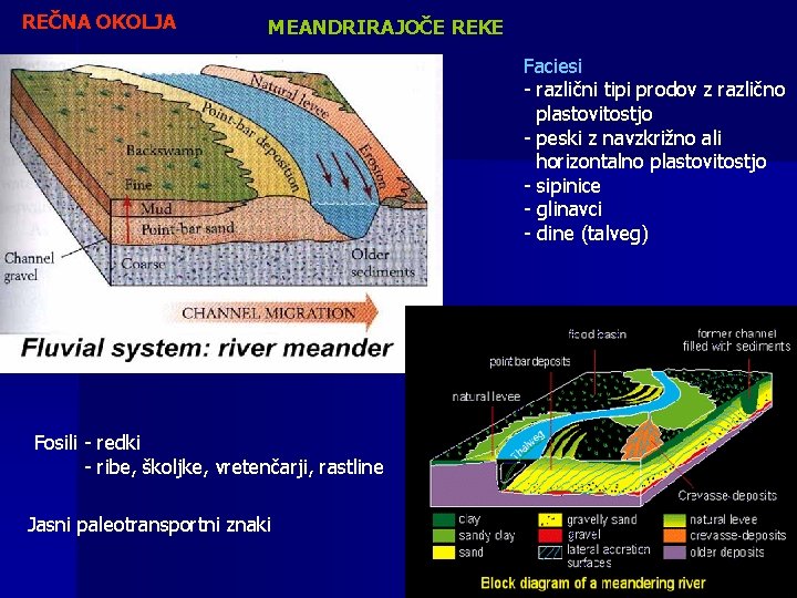 REČNA OKOLJA MEANDRIRAJOČE REKE Faciesi - različni tipi prodov z različno plastovitostjo - peski