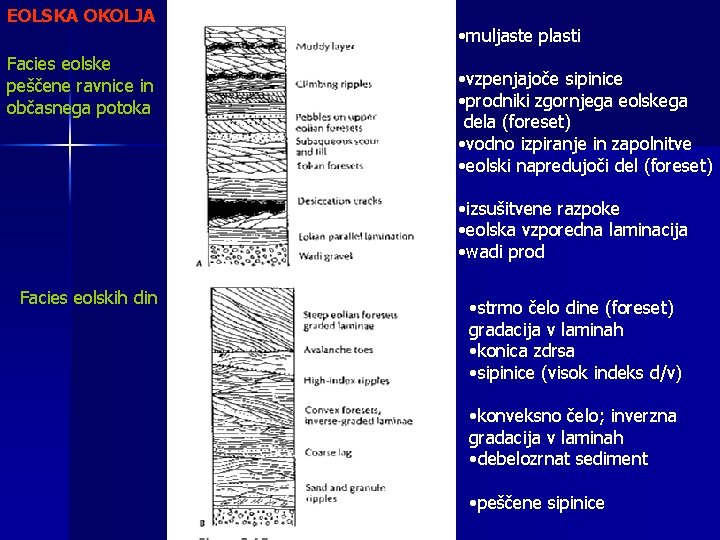 EOLSKA OKOLJA Facies eolske peščene ravnice in občasnega potoka • muljaste plasti • vzpenjajoče