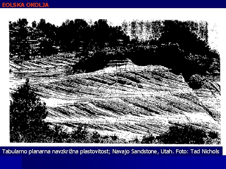 EOLSKA OKOLJA Tabularno planarna navzkrižna plastovitost; Navajo Sandstone, Utah. Foto: Tad Nichols 