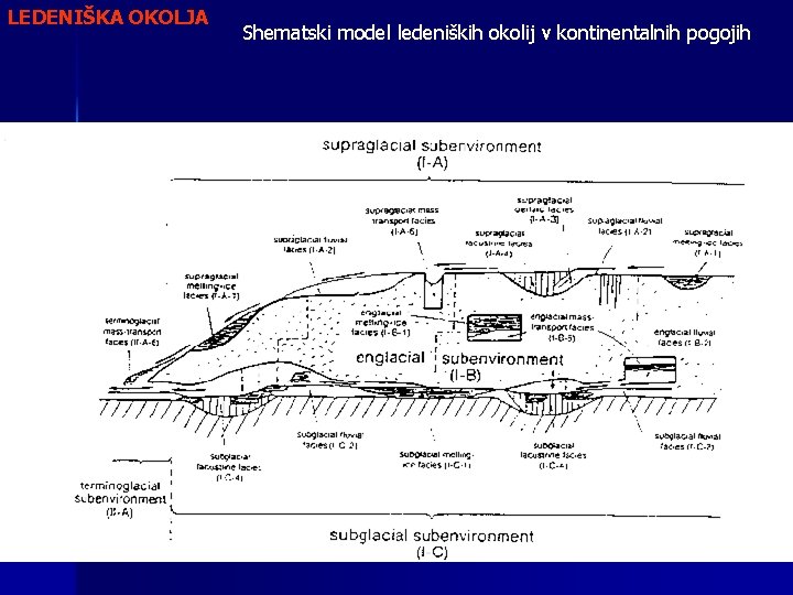 LEDENIŠKA OKOLJA Shematski model ledeniških okolij v kontinentalnih pogojih 