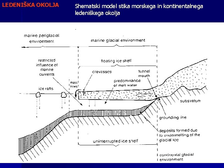 LEDENIŠKA OKOLJA Shematski model stika morskega in kontinentalnega ledeniškega okolja 