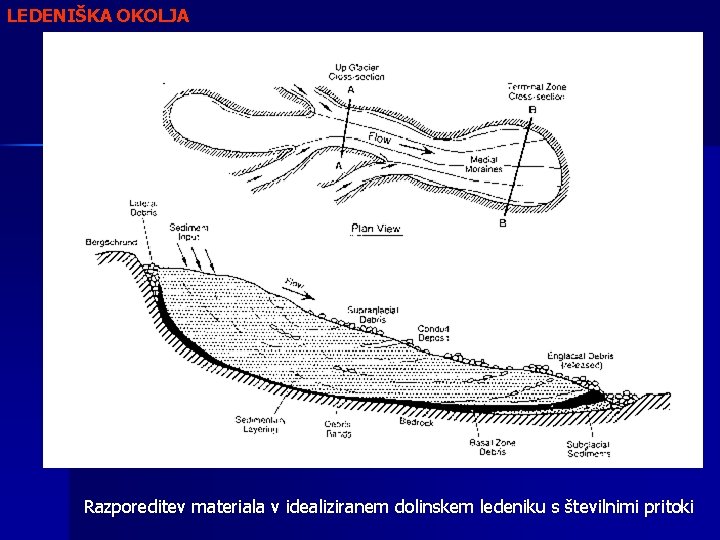 LEDENIŠKA OKOLJA Razporeditev materiala v idealiziranem dolinskem ledeniku s številnimi pritoki 