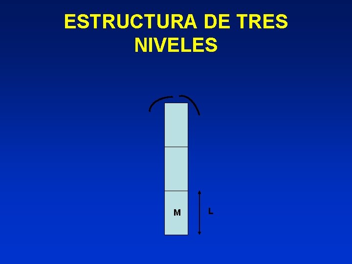 ESTRUCTURA DE TRES NIVELES M L 