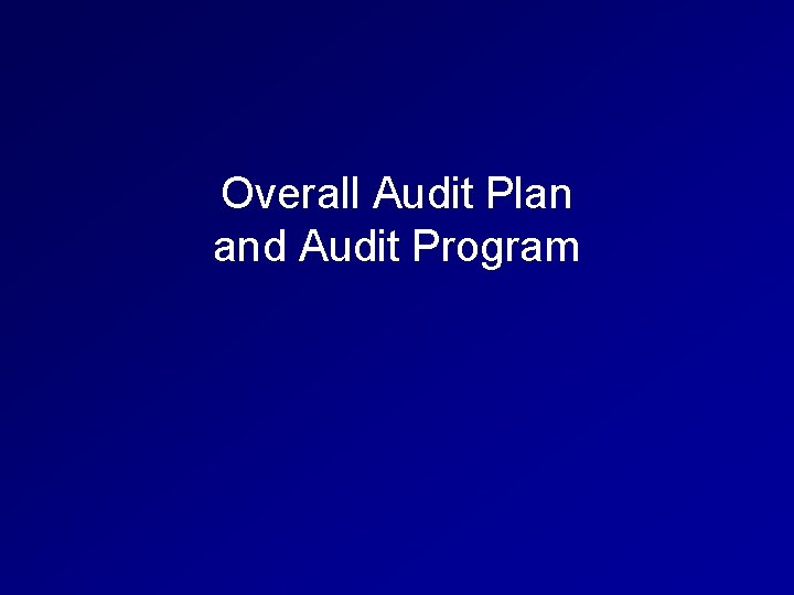 Overall Audit Plan and Audit Program 