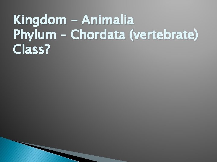 Kingdom - Animalia Phylum – Chordata (vertebrate) Class? 