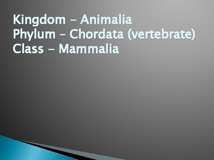 Kingdom - Animalia Phylum – Chordata (vertebrate) Class - Mammalia 