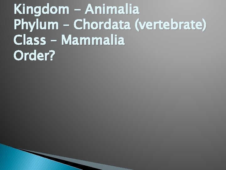 Kingdom - Animalia Phylum – Chordata (vertebrate) Class – Mammalia Order? 